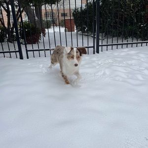 Meet your Posher, Lydia